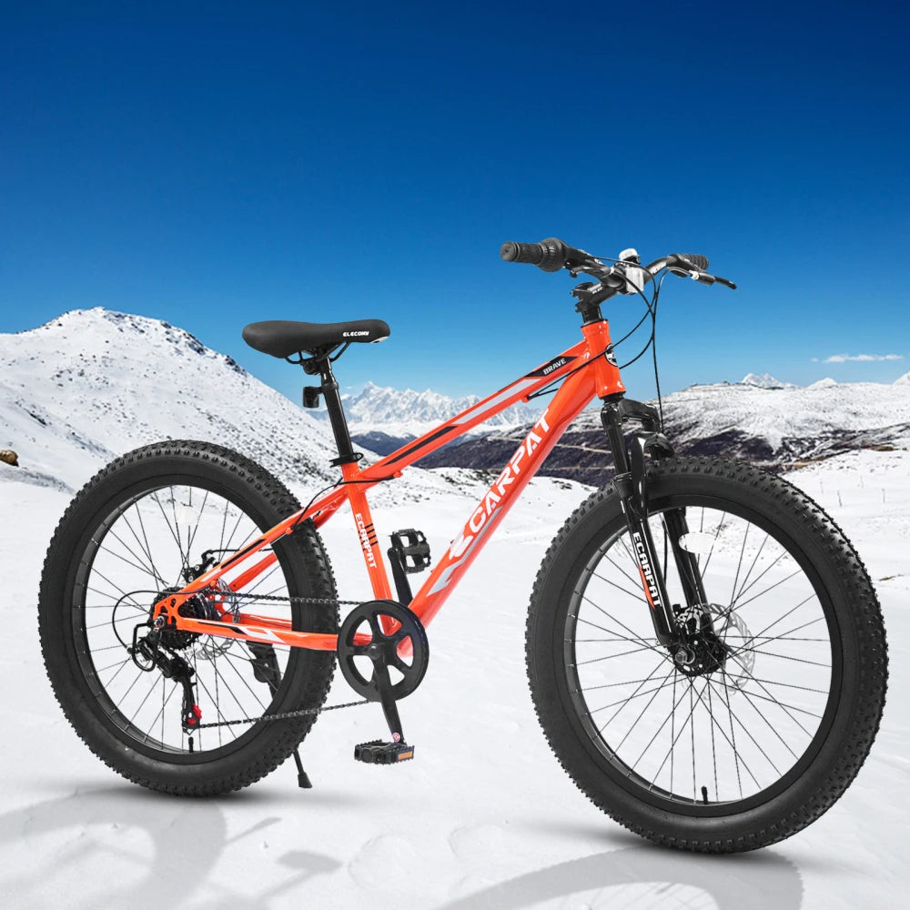 Elecony Fat Tire Mountain Bike Steel Frame Shimano 7-Speed