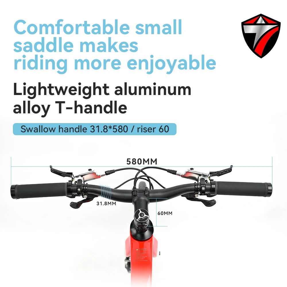 Cyclone Carbon Fiber City Bike With HyDisc Brakes For Teens And Adults