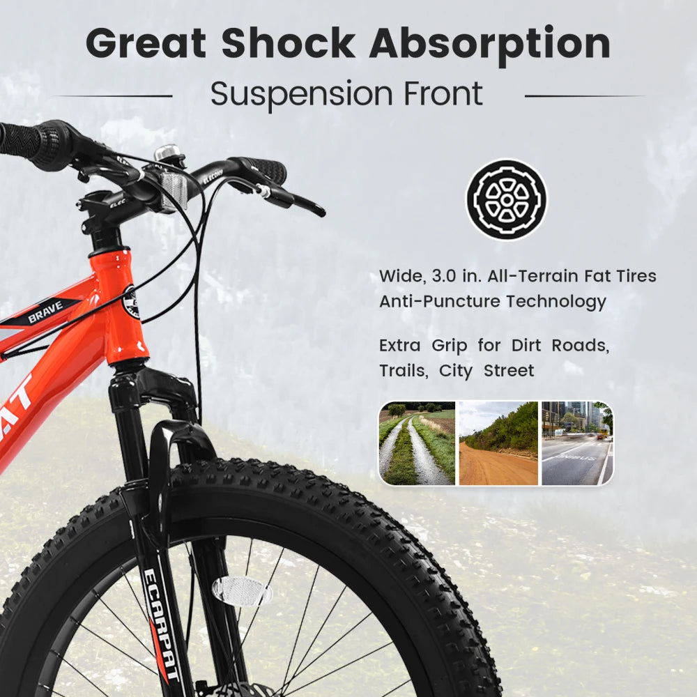 Elecony Fat Tire Mountain Bike Steel Frame Shimano 7-Speed