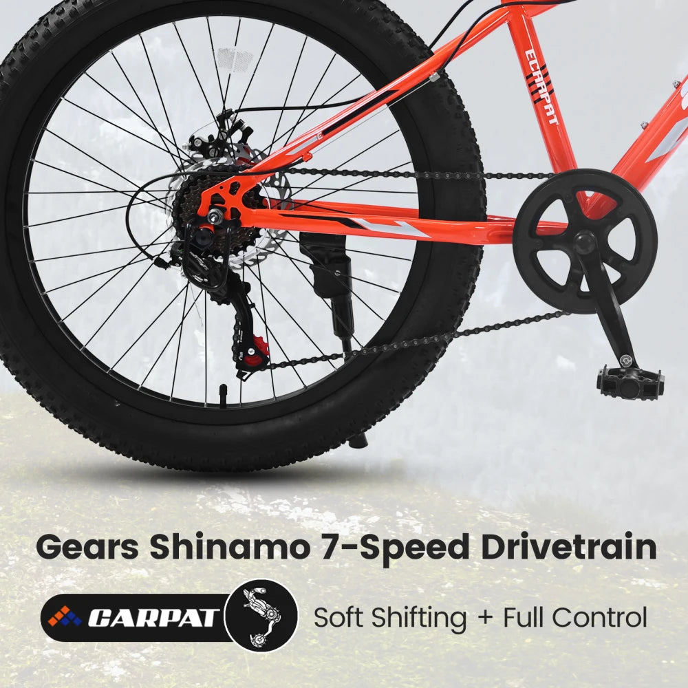 Elecony Fat Tire Mountain Bike Steel Frame Shimano 7-Speed